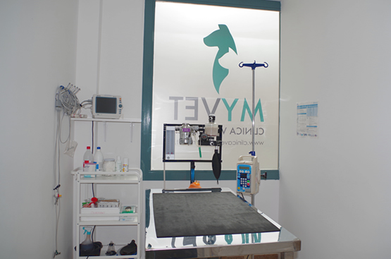 myvet veterinaria 1
