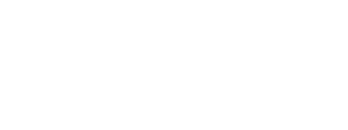 myvet veterinaria 2