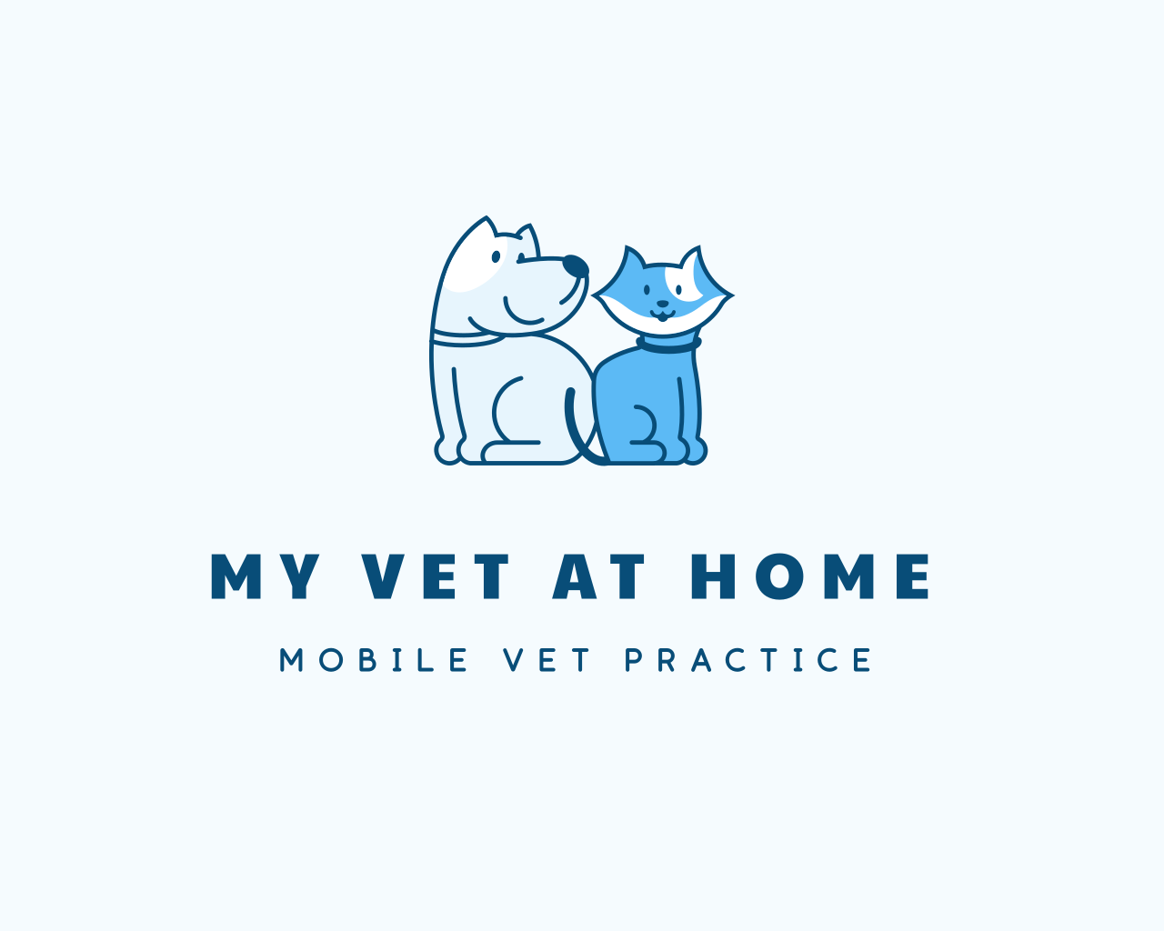 myvet veterinaria