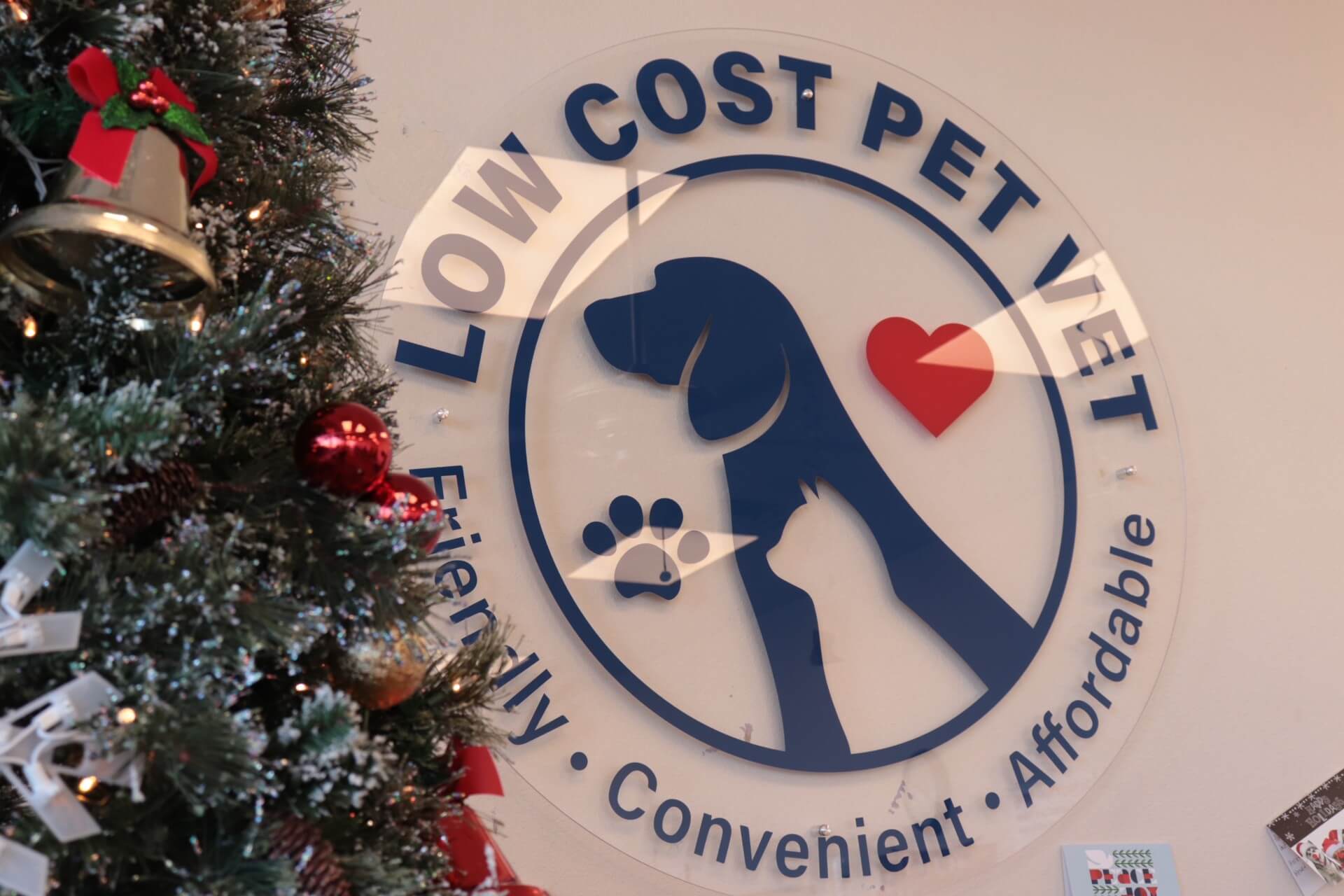 only pets centro veterinario 2