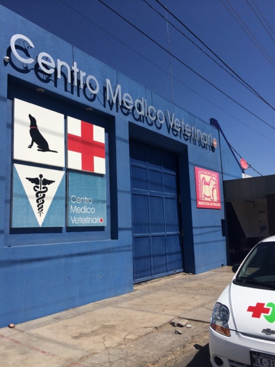 only pets centro veterinario