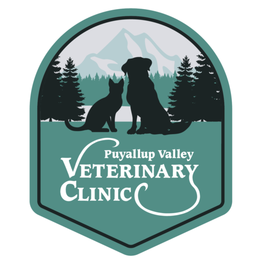pet clinic 1