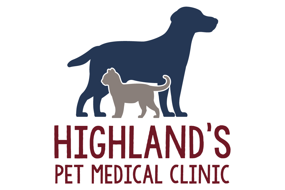 pet clinic 2