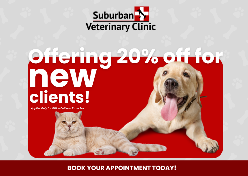 pet clinic rd