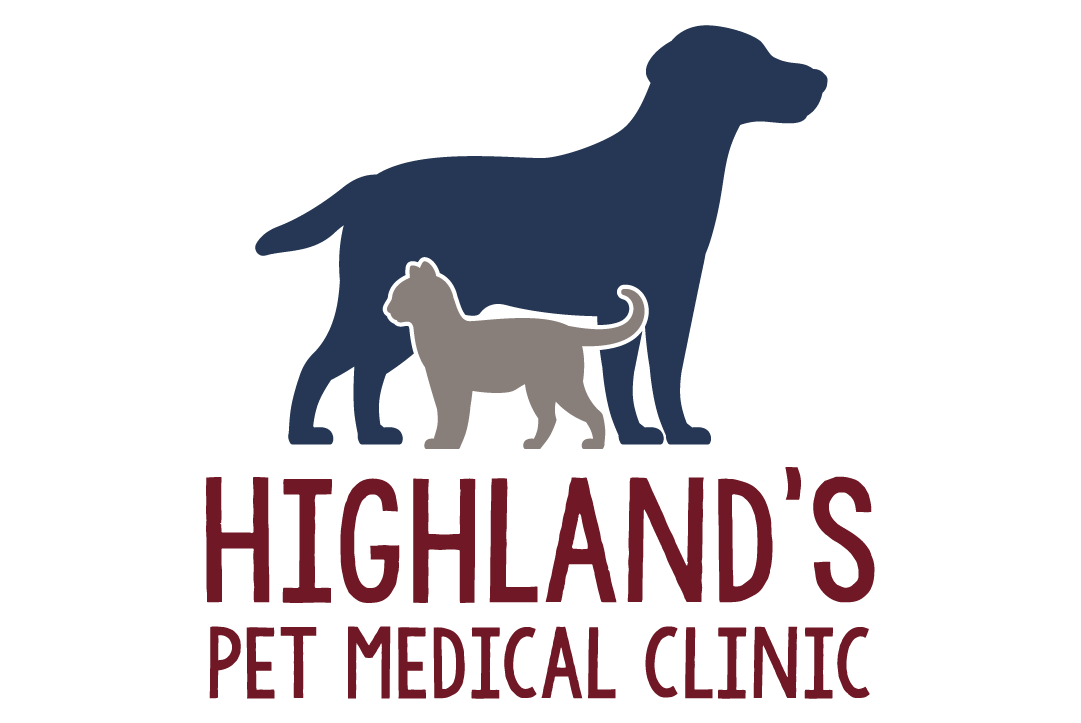 pet clinic