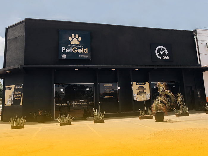 pet gold veterinaria 2