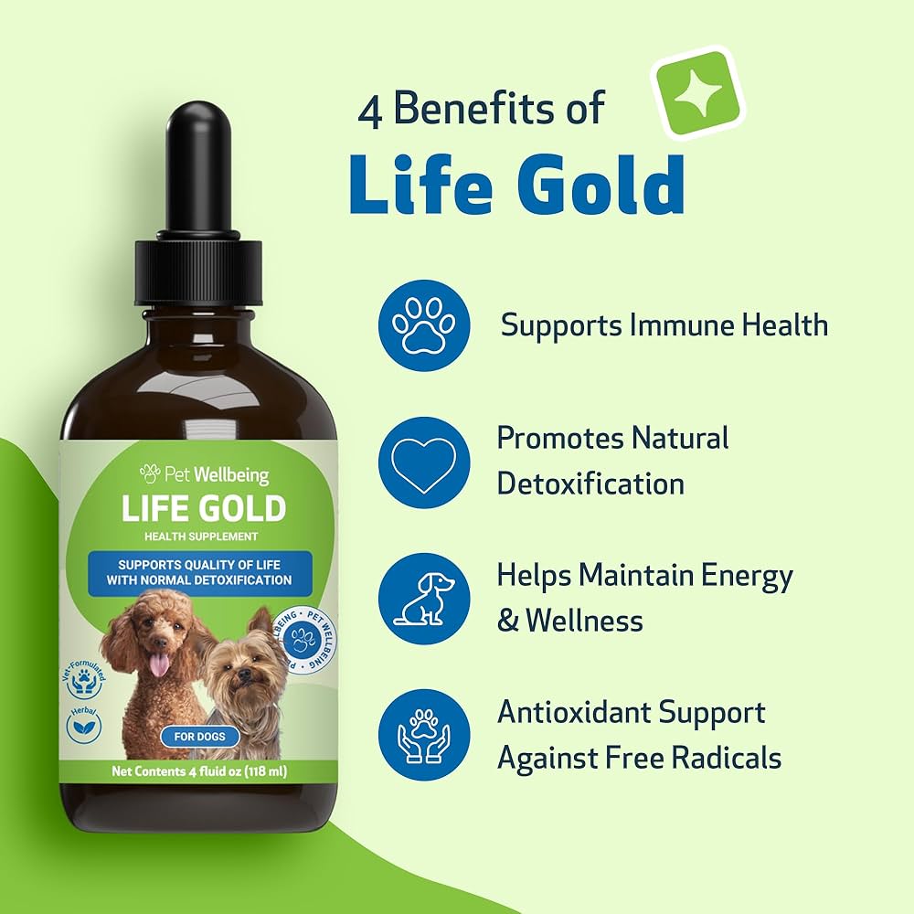 pet gold veterinaria 3