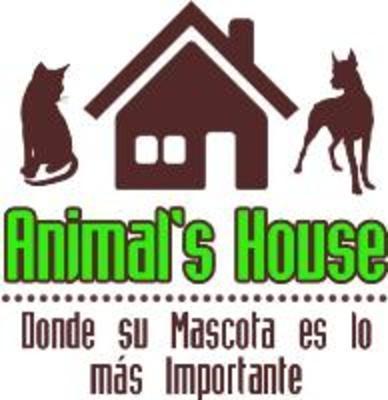 pet house servicios veterinarios 1