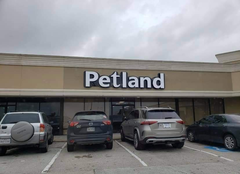 pet land rd