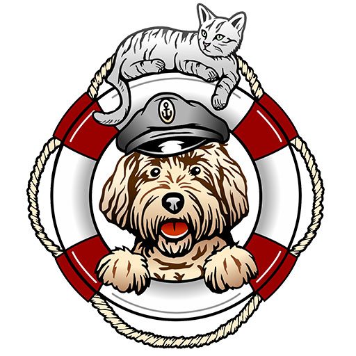 pet medicine clinica veterinaria