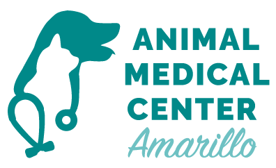 pet medicine clinica veterinaria