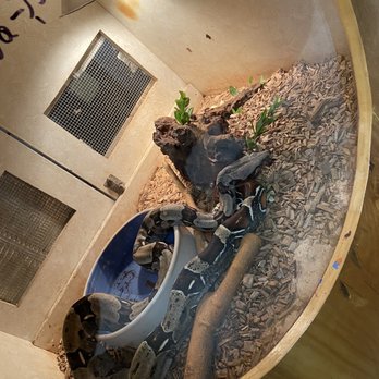 pets forever by blandino oficinas administrativas