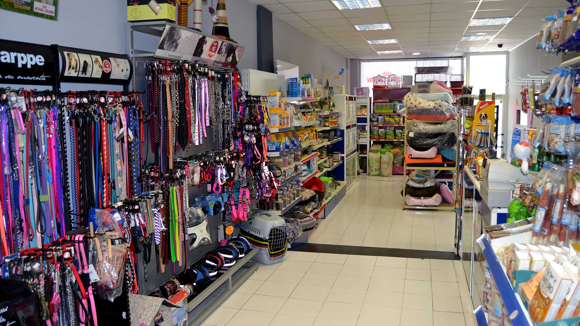 petshop aviario del cibao