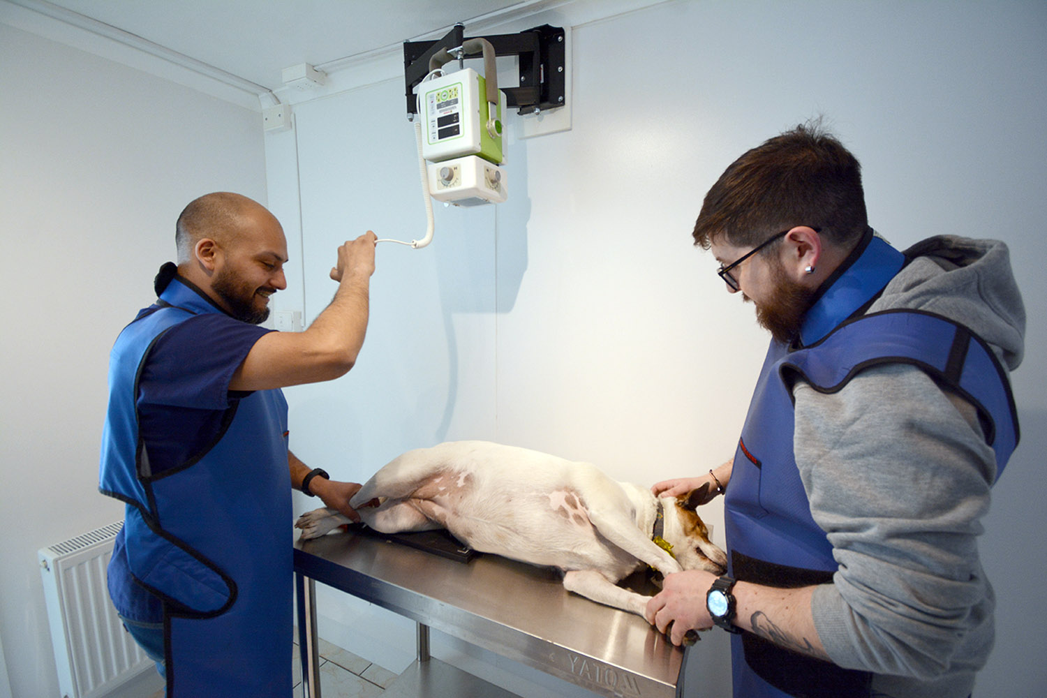 pilis vet clinica medica de mascotas 1