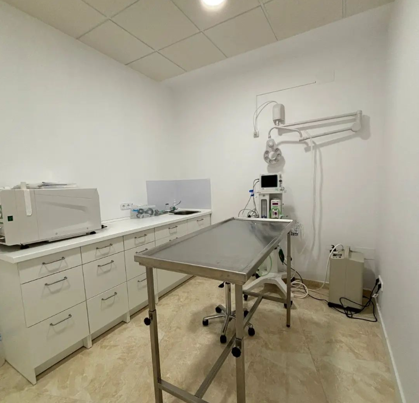 pilis vet clinica medica de mascotas 1