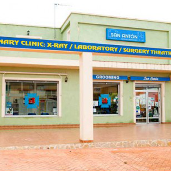 pilis vet clinica medica de mascotas 1