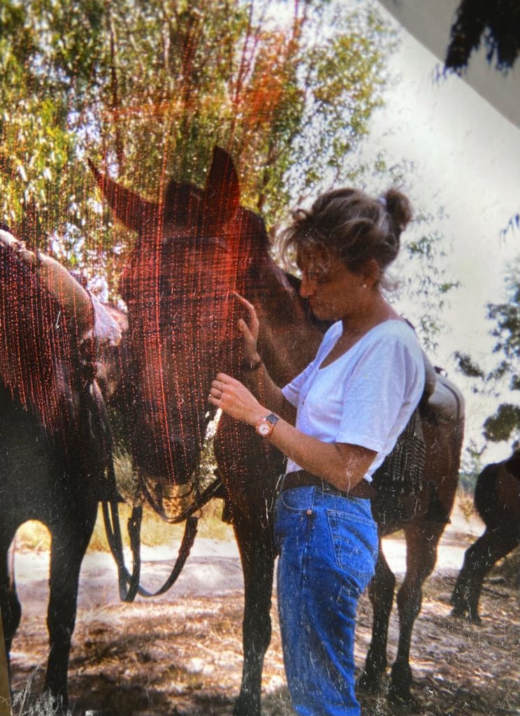 pilis vet clinica medica de mascotas 10