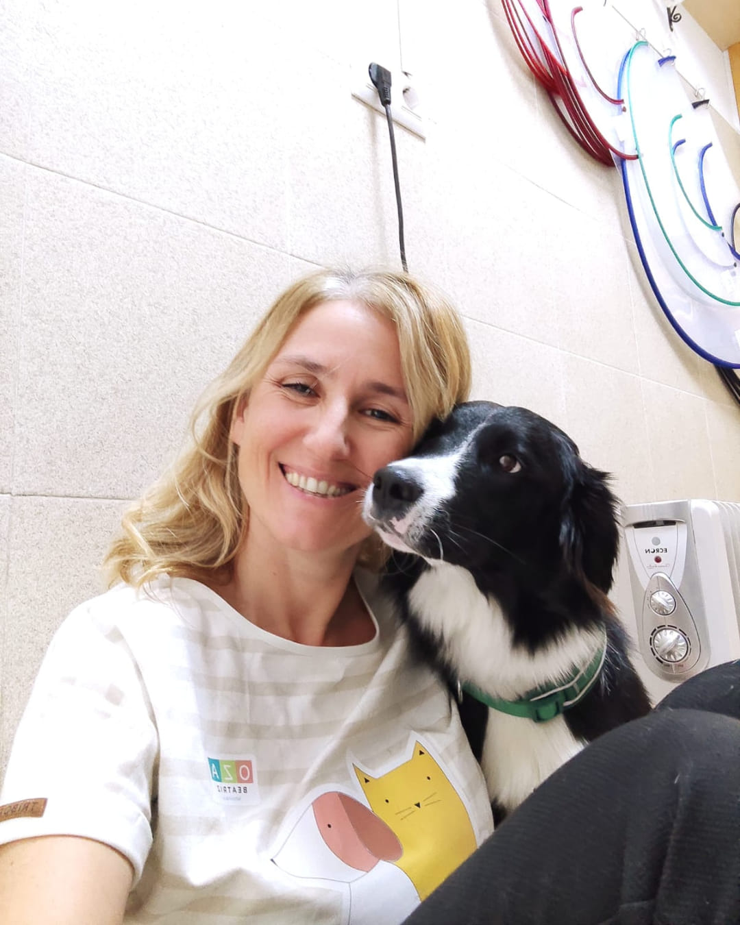 pilis vet clinica medica de mascotas 19