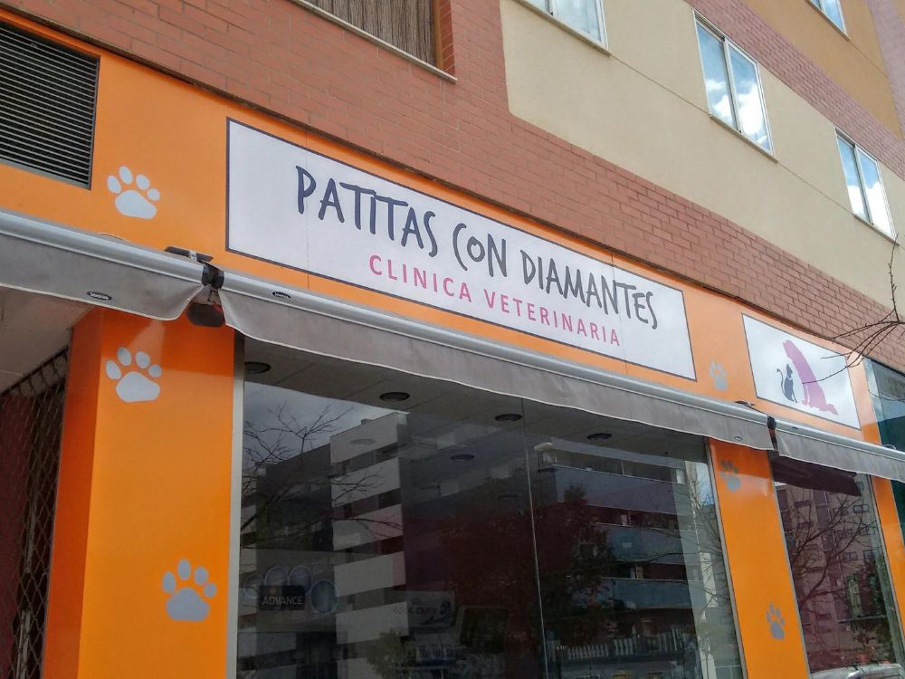 pilis vet clinica medica de mascotas 2