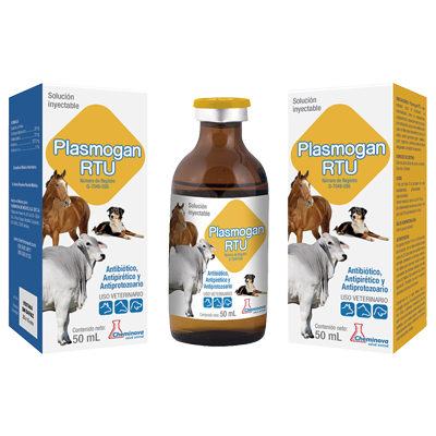 productos y equipos de veterinarios gwendolyn