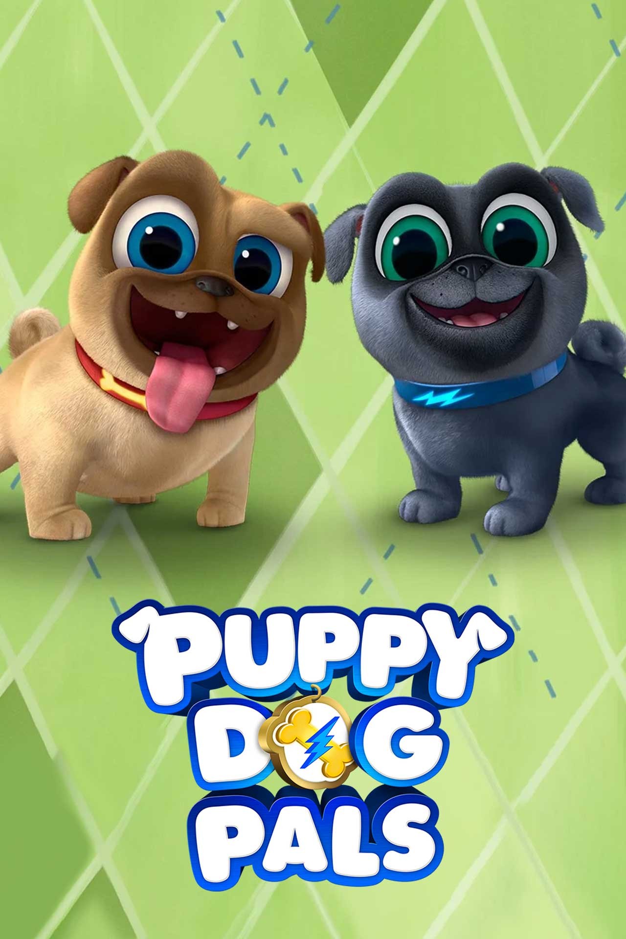 puppiesdr1 1
