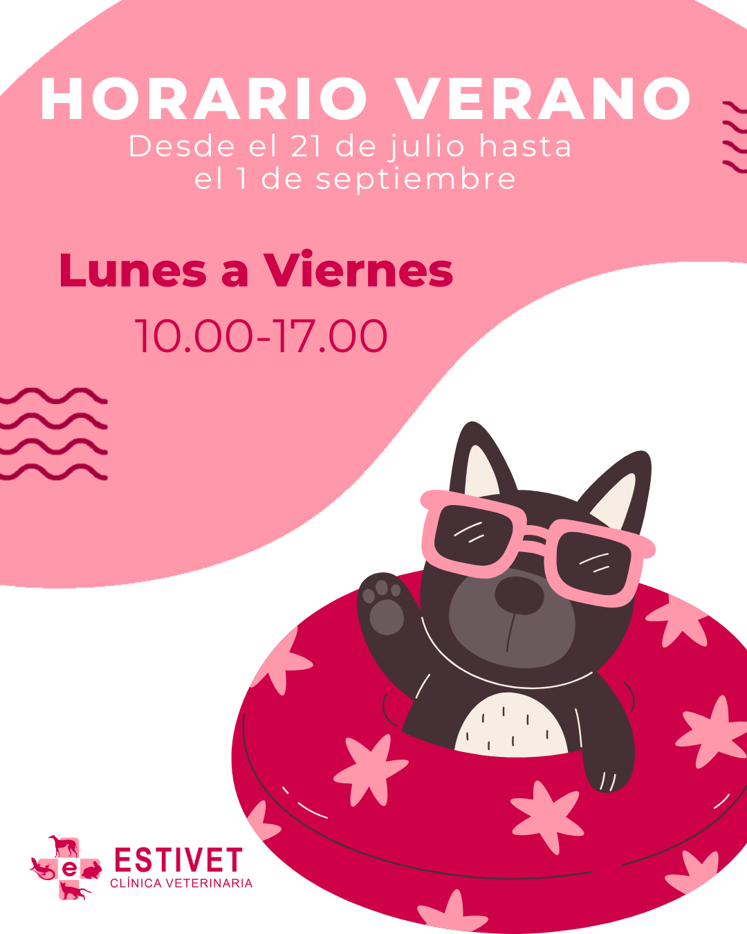 sertevet clinica veterinaria 1