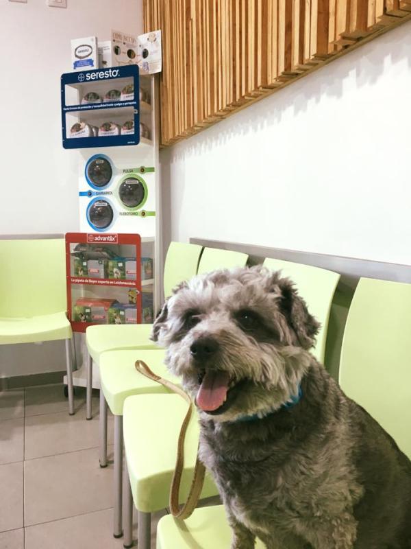 sertevet clinica veterinaria