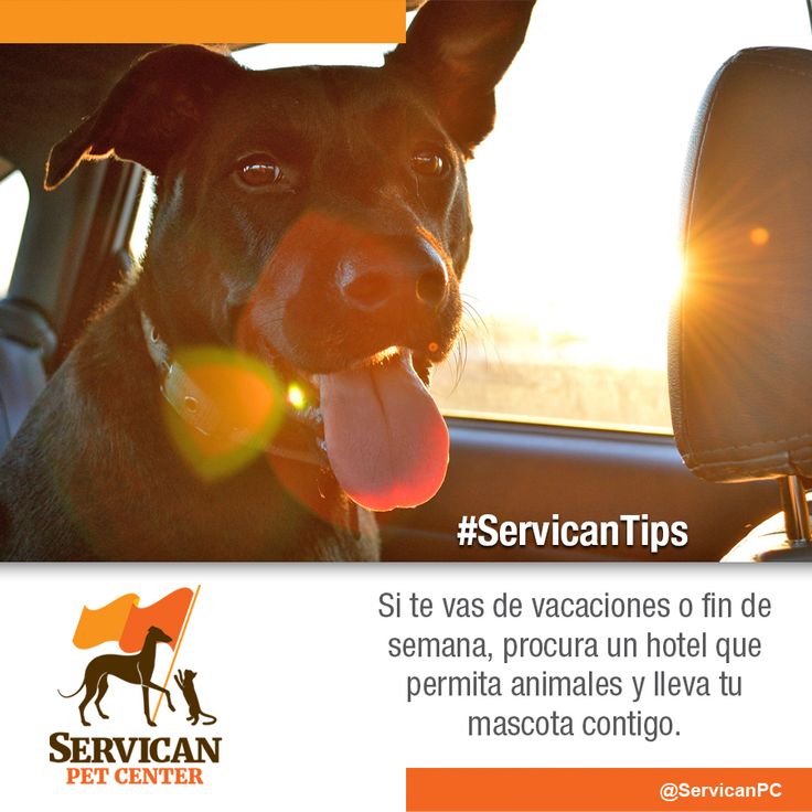 servican pet center