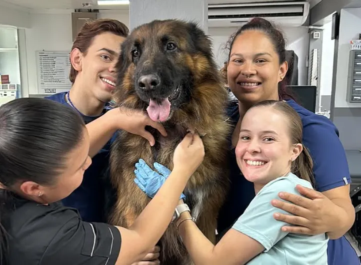 servicios veterinarios dr eduardo ruiz