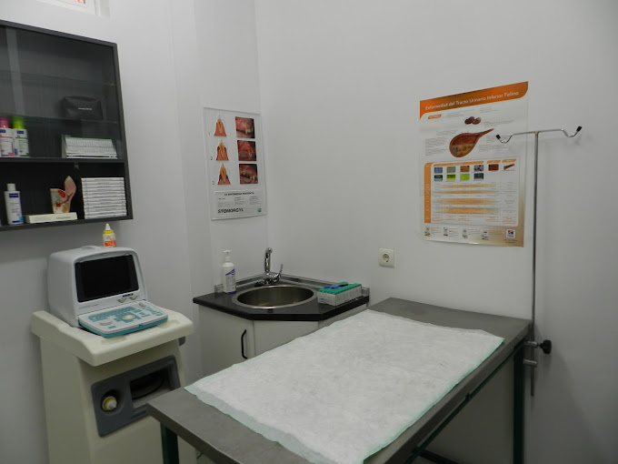 servicios veterinarios servet