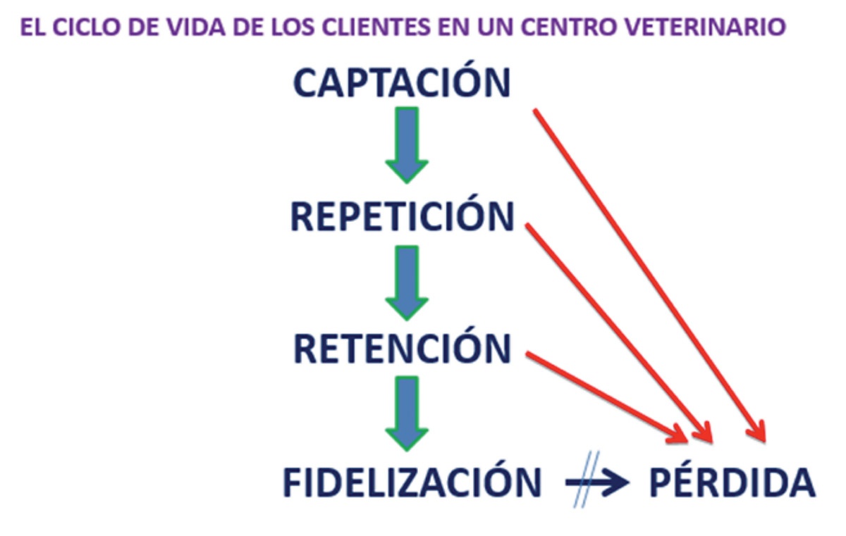 soluciones veterinarias ls srl