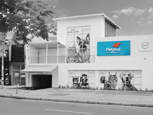 vet mart clinica veterinaria 24 horas 2