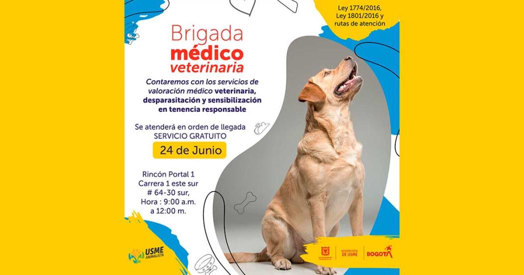 veterinaria a y m