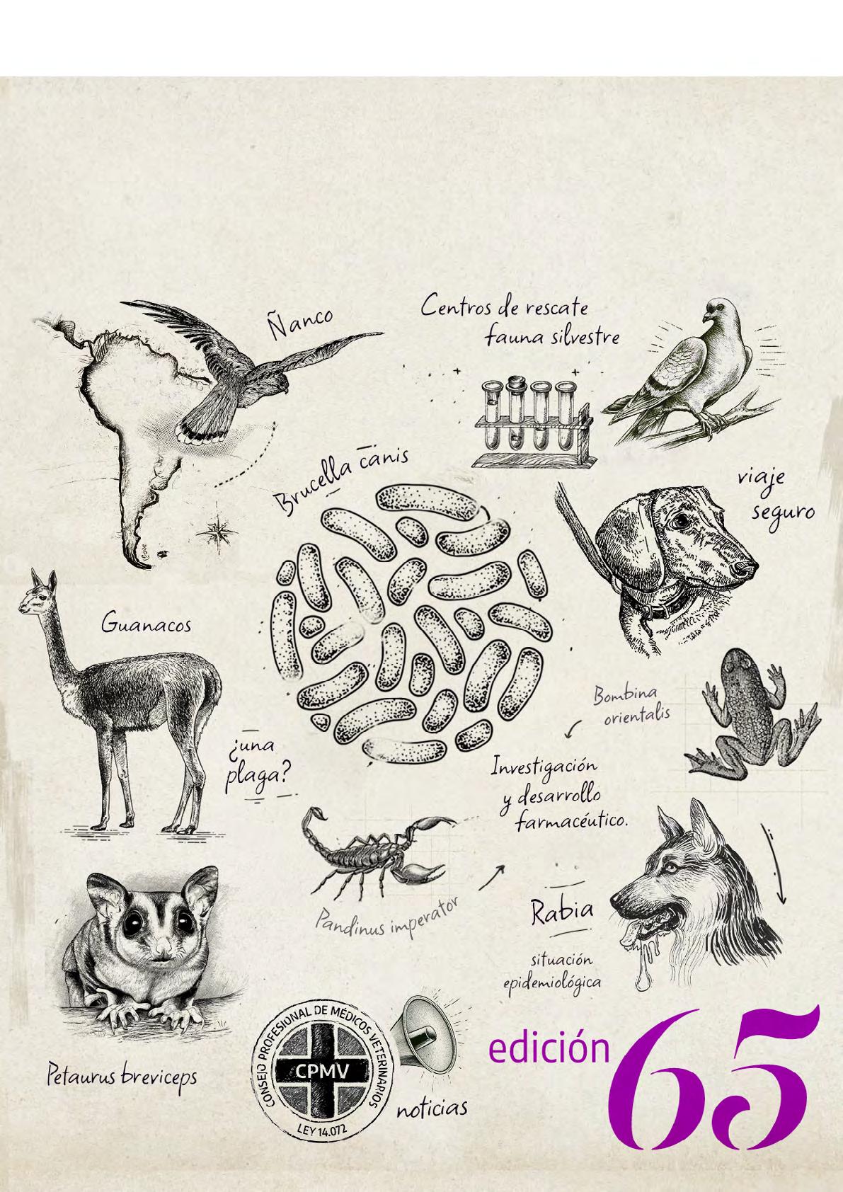 veterinaria agro la cotorra