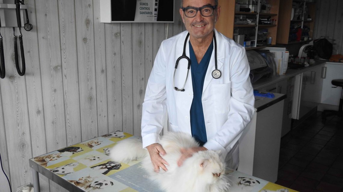 veterinaria alex 3