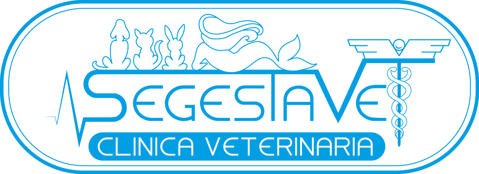 veterinaria aquavet 1