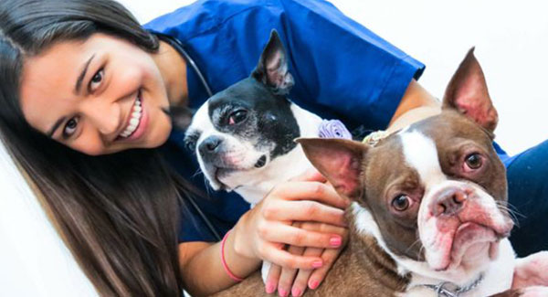 veterinaria aquavet 4