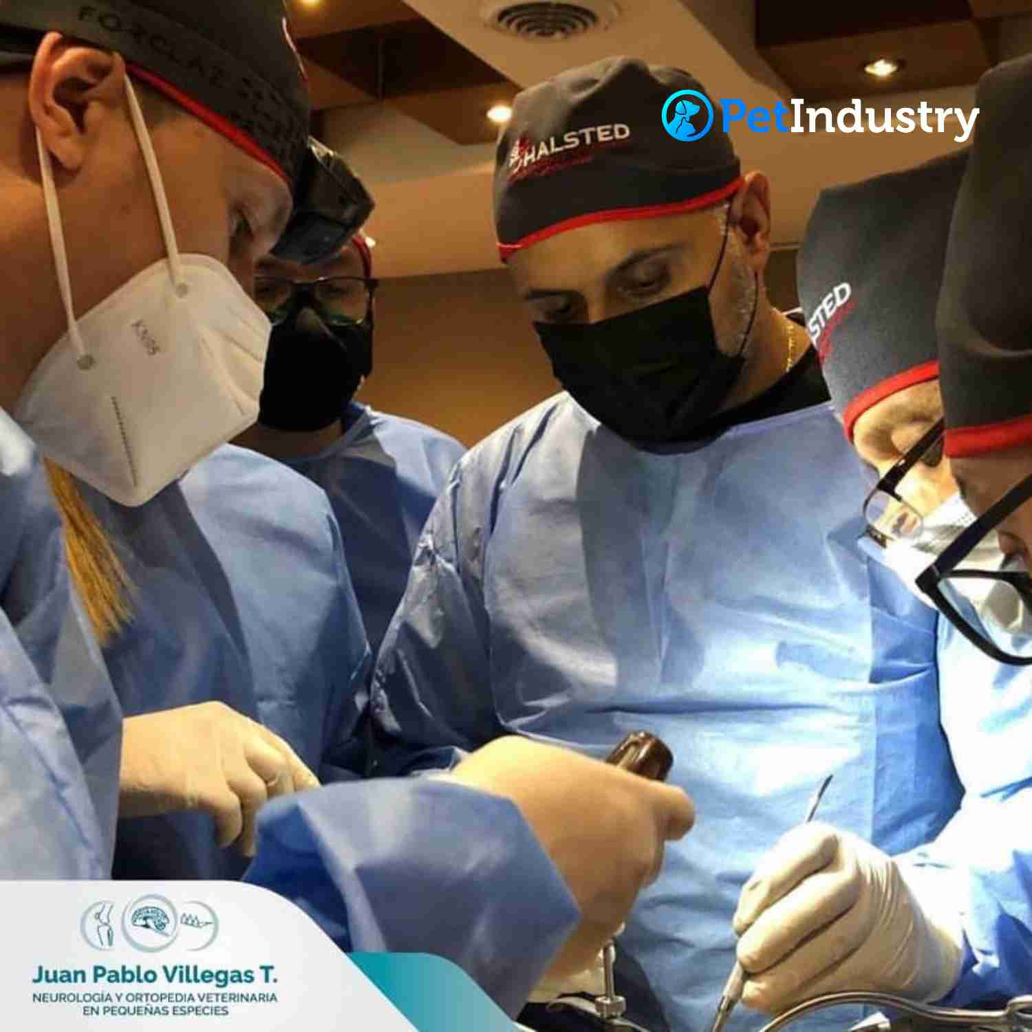 veterinaria aquavet 6