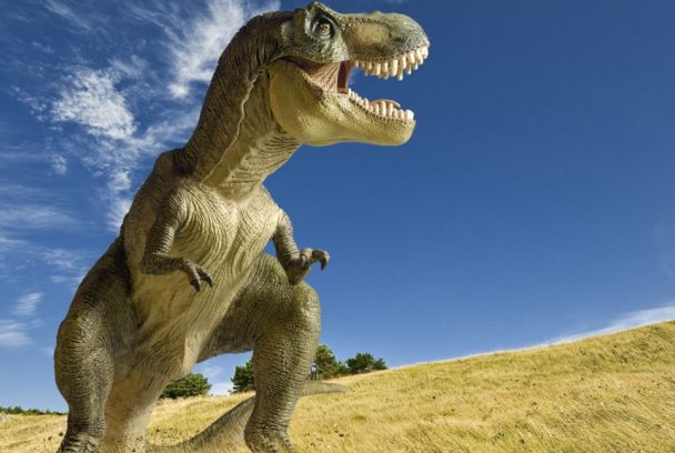 veterinaria armagedon 2