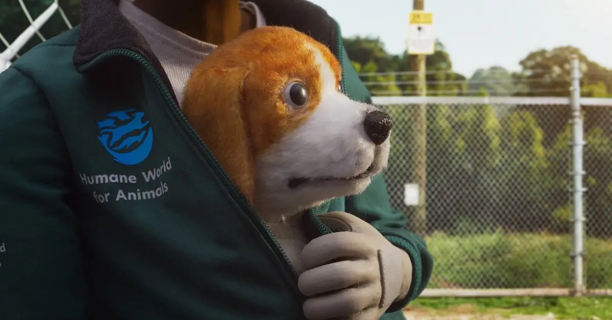 veterinaria armagedon