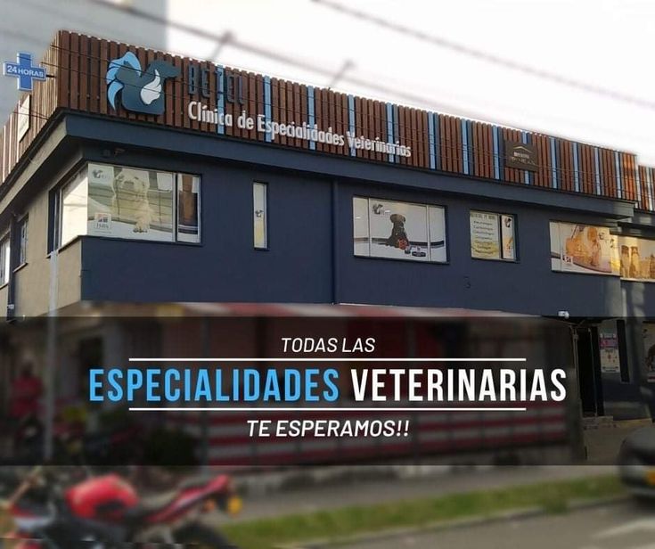 veterinaria bet el