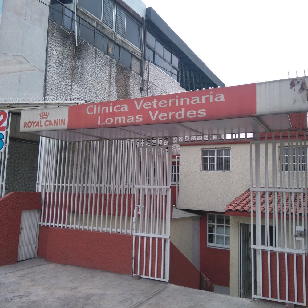 veterinaria camacho san victor