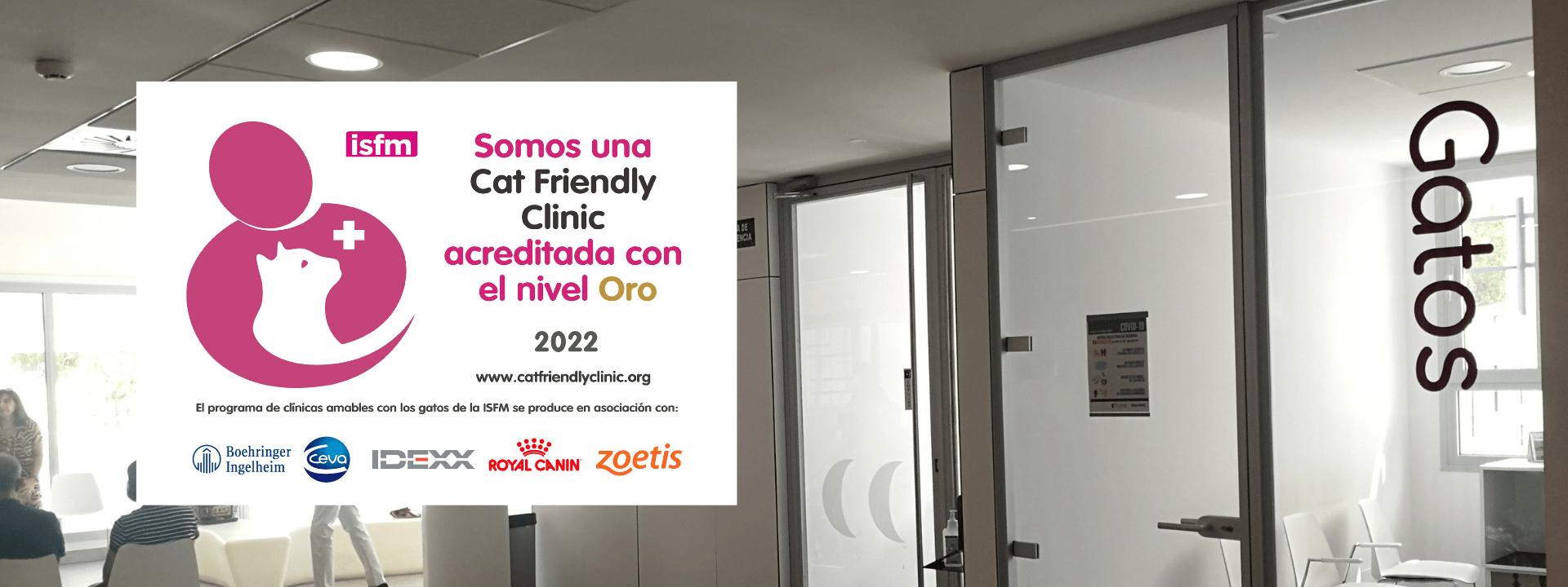 veterinaria carrasco papucho 1