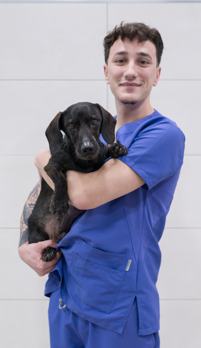 veterinaria castillo