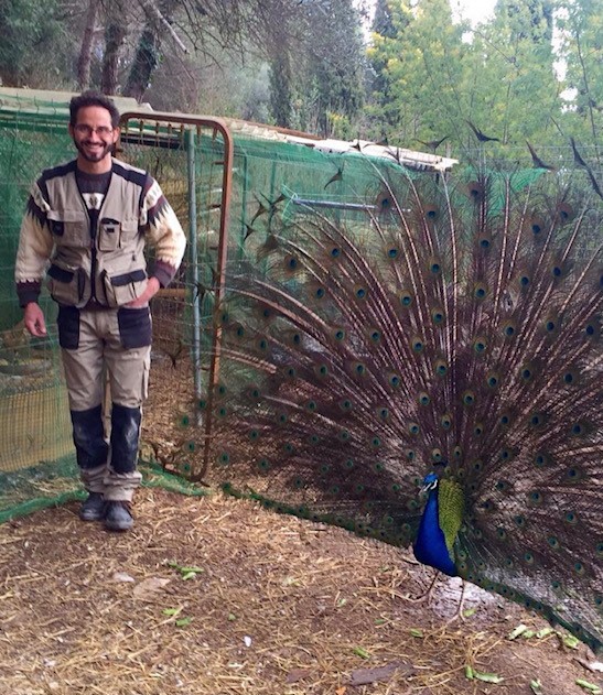 veterinaria chelow 3