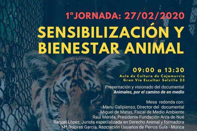 veterinaria cristo viene 1