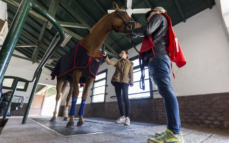 veterinaria del este san isidro 1