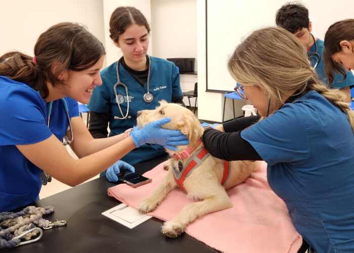 veterinaria del norte s a 1