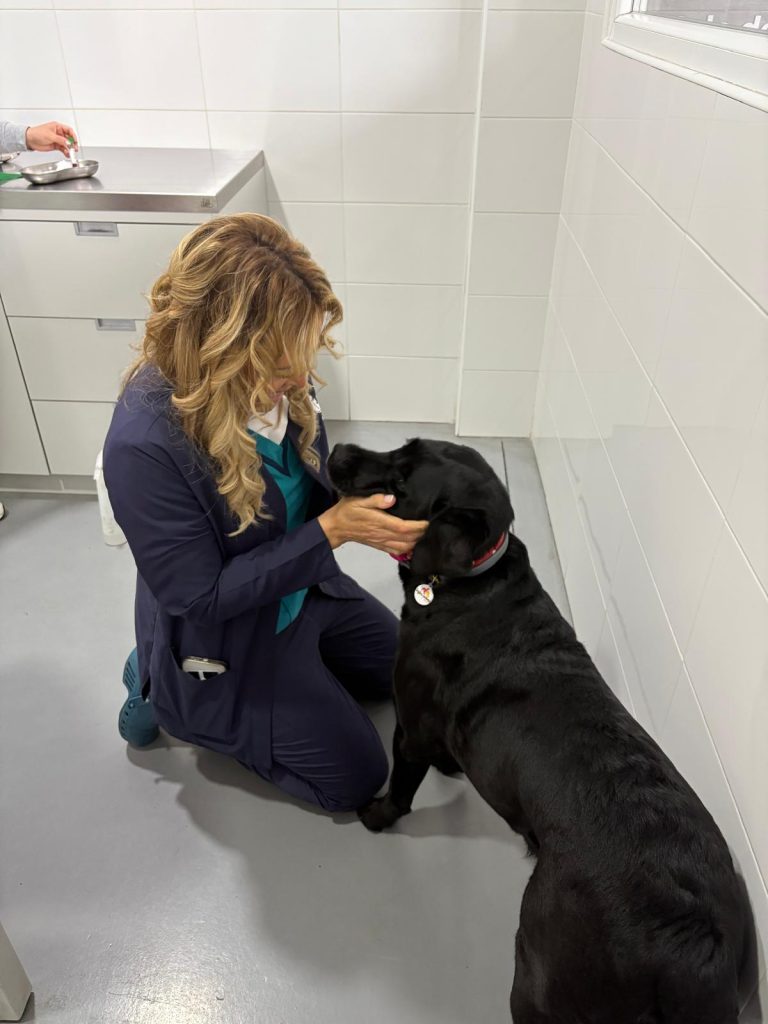 veterinaria del norte s a