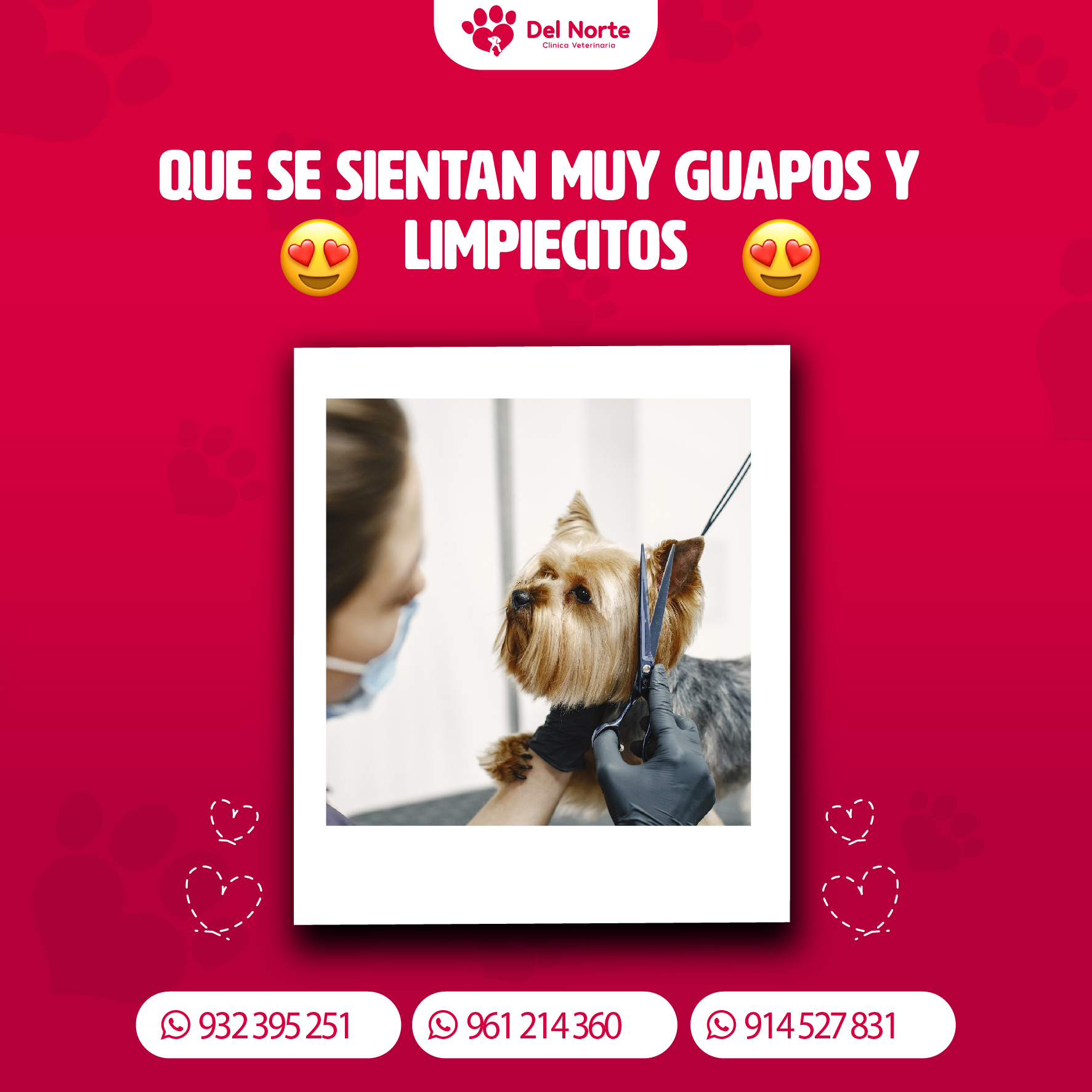 veterinaria del norte